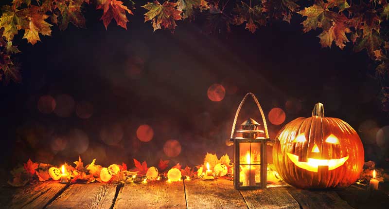 秋色木の葉と、かぼちゃのランタンイラスト画像