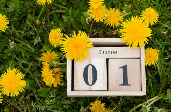たんぽぽと６月１日のカレンダー画像