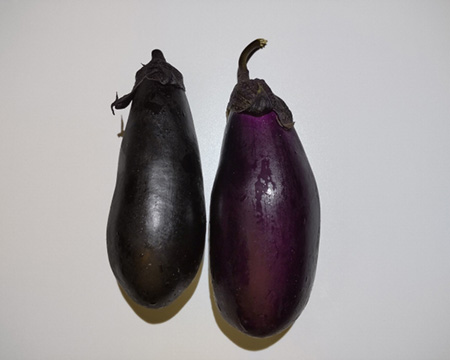 まるっとした形のくろべえ茄子画像