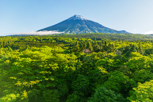 富士山頂の画像