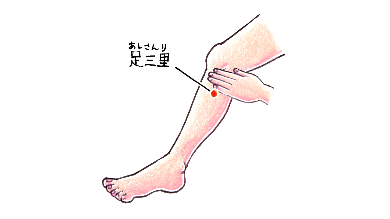 膝の下に手を当てて、すねの外側にある足三里のツボの位置を示した手描き風イラスト