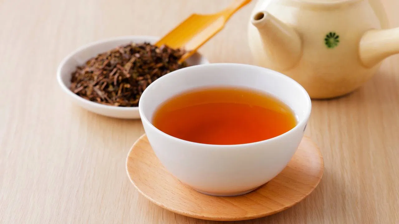 湯呑に入ったほうじ茶と急須、茶葉のと茶さじの写真