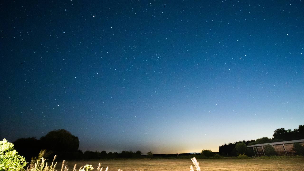 満天の星空と、手前に揺れる秋草のシルエット。地平線が橙色に染まる静かな夜の風景写真